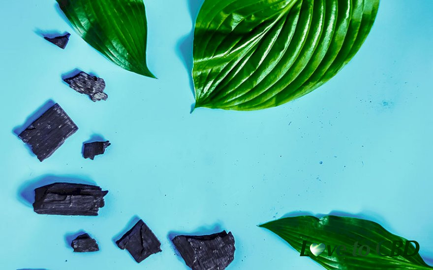 Why CBD Charcoal Skin Care Products are the Next Big Thing in Beauty