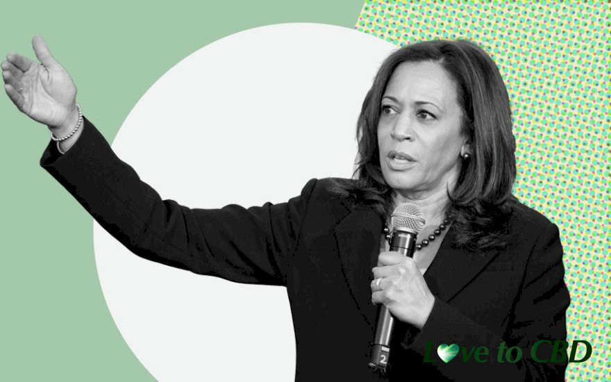 Election 2020: Where Kamala Harris Stands on Cannabis