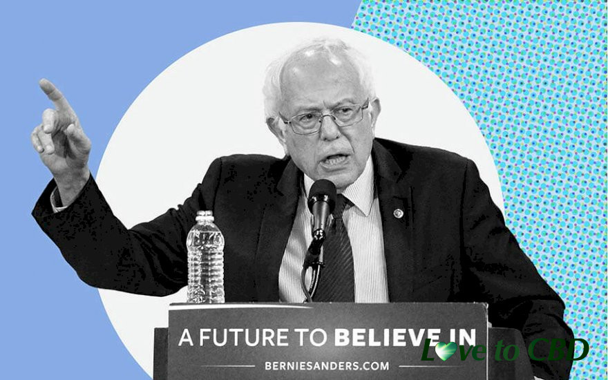 Election 2020: Where Bernie Sanders Stands on Cannabis