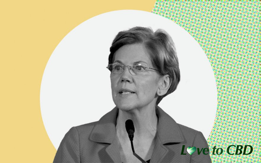 Election 2020: Where Elizabeth Warren Stands on Cannabis