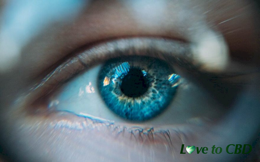 DOES CBD HELP IMPROVE EYE CONDITIONS AND VISION PROBLEMS?