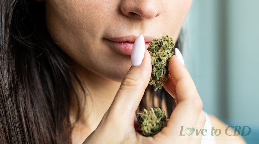 Benefits Of Hemp Flower