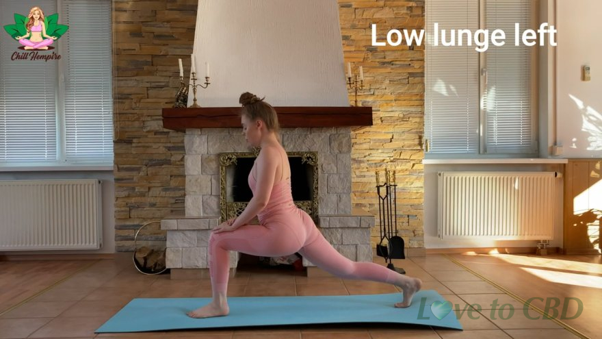 Yoga for Beginners – 30 Minute Home Yoga Workout Exercises Video